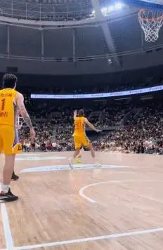 他的篮板落 他的篮板落