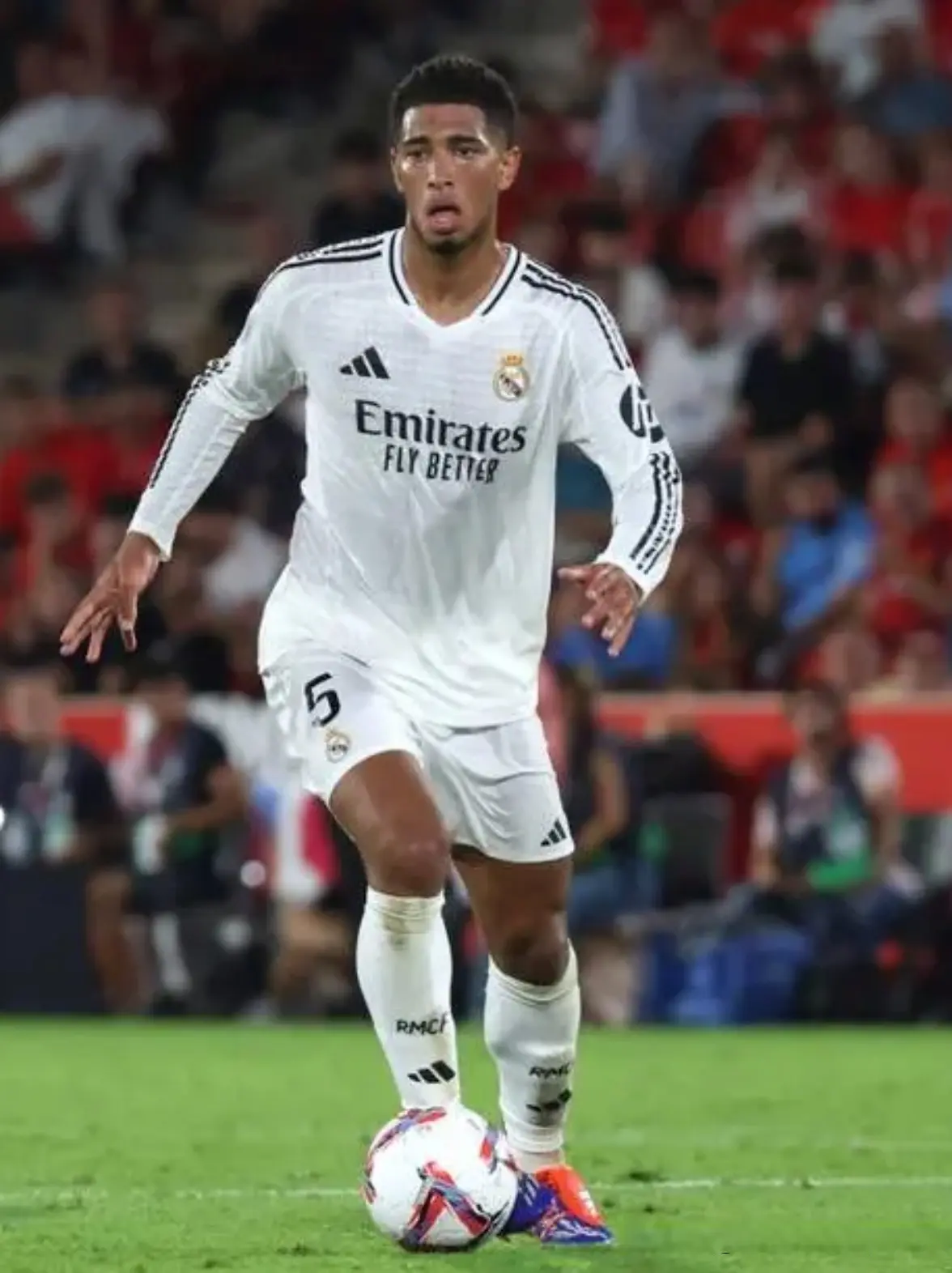 tenan, 负责后场的, 即将复出 tenan, 负责后场的, 即将复出